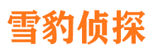 环县寻人公司